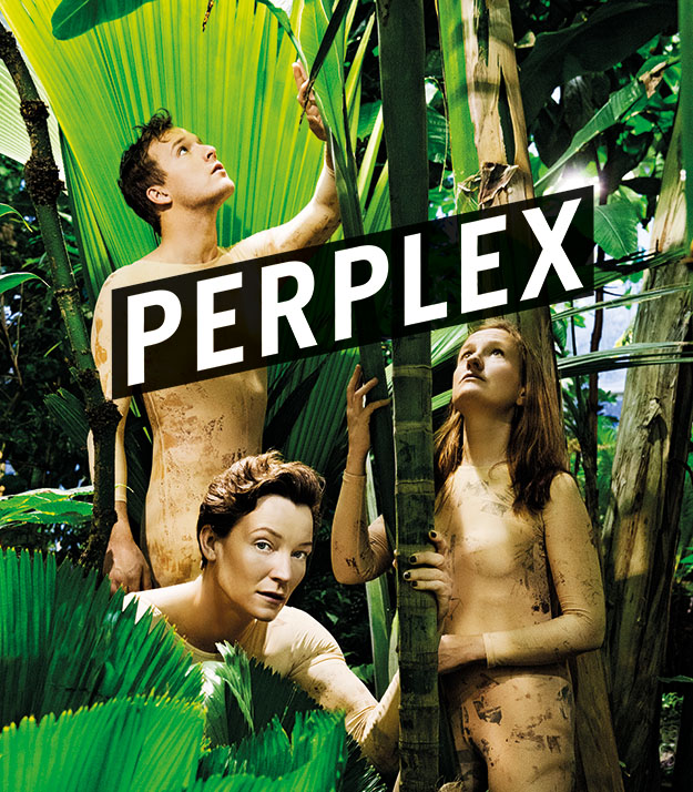 perplex_625px_rgb